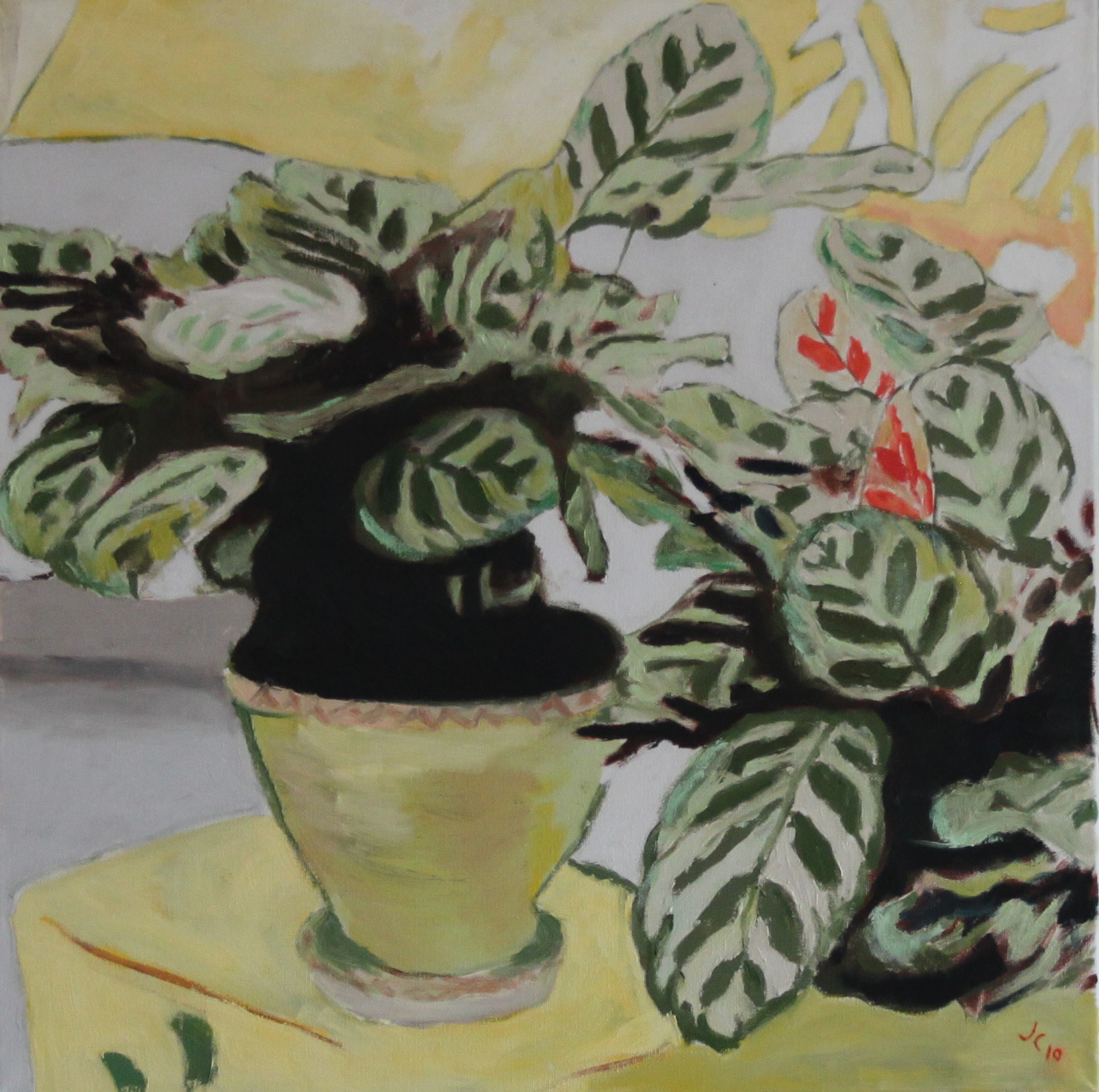 2010 Calathea, olie på lærred, 50x50