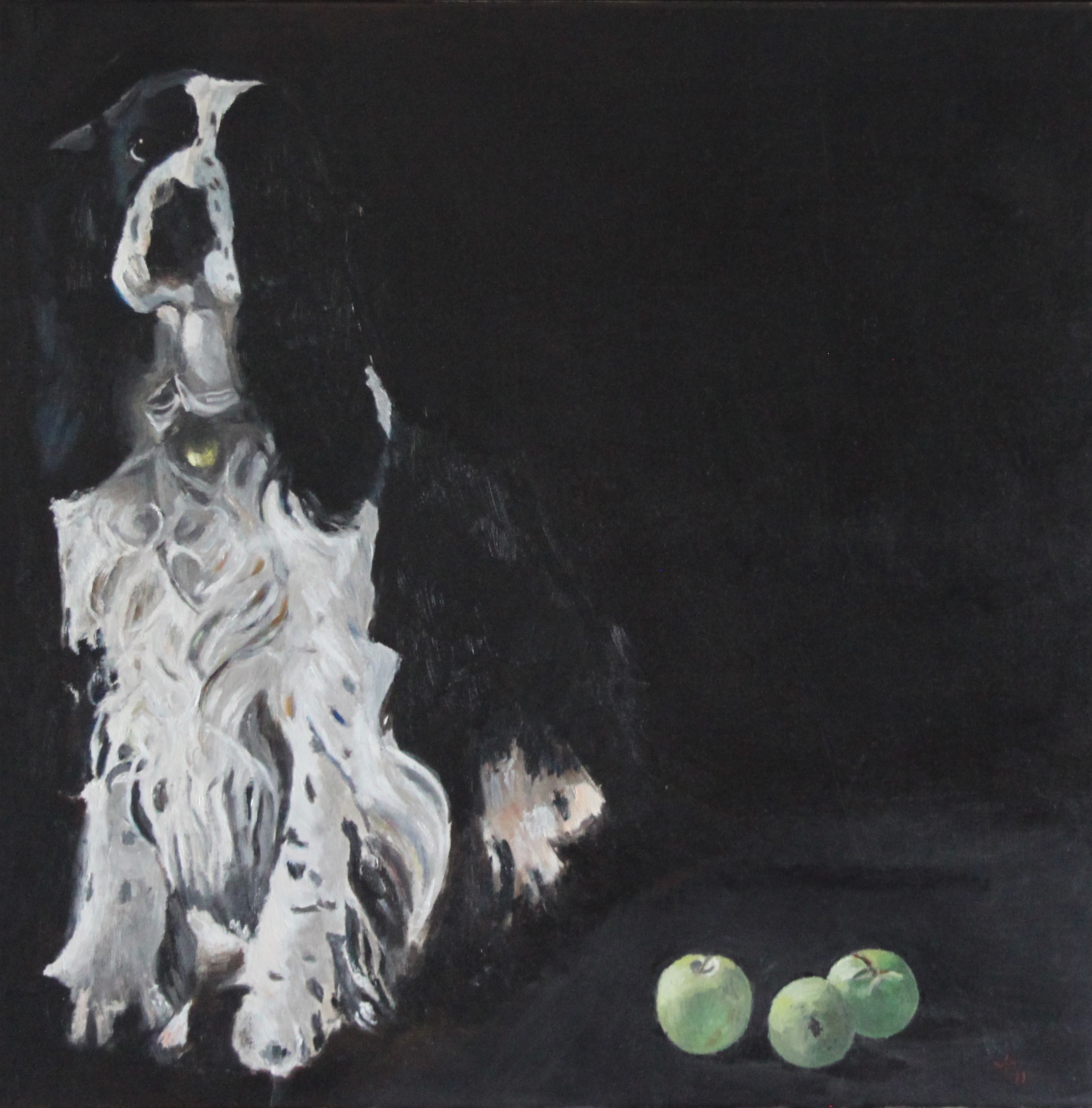 2011 Sirius, olie på lærred 70 x 70